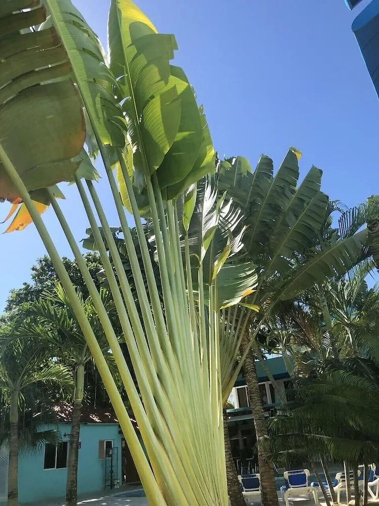 New Garden Hotel Sosúa