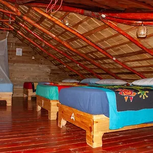 Hostel La Ballena Backpacker